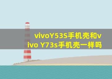 vivoY53S手机壳和vivo Y73s手机壳一样吗